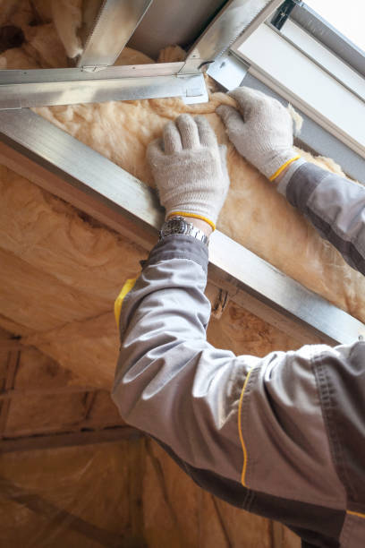 Best Spray Foam Insulation in Solana Beach, CA
