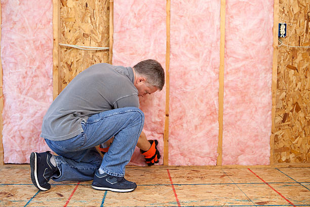 Best Geographic-Specific Insulation Services in Solana Beach, CA